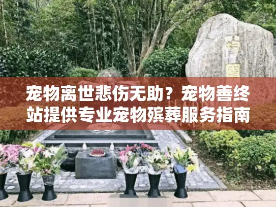 宠物离世悲伤无助？宠物善终站提供专业宠物殡葬服务指南