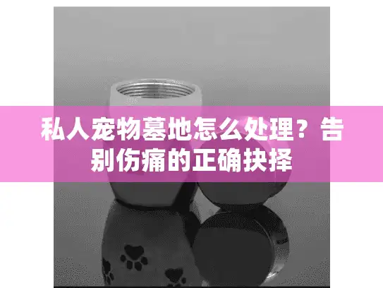 私人宠物墓地怎么处理?告别伤痛的正确抉择 私人宠物墓地怎么处理?告别伤痛的正确抉择