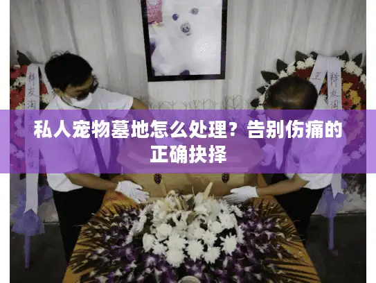 私人宠物墓地怎么处理?告别伤痛的正确抉择 私人宠物墓地怎么处理?告别伤痛的正确抉择