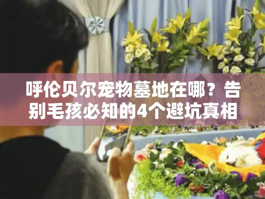 呼伦贝尔宠物墓地在哪?告别毛孩必知的4个避坑真相 呼伦贝尔宠物墓地在哪?告别毛孩必知的4个避坑真相