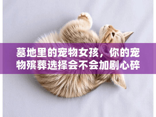 墓地里的宠物女孩，你的宠物殡葬选择会不会加剧心碎之痛？