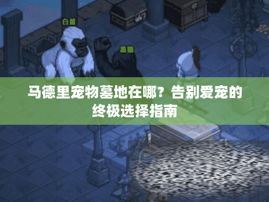 马德里宠物墓地在哪？告别爱宠的终极选择指南