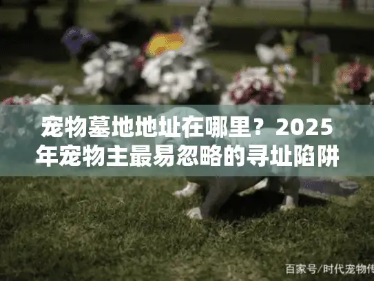 宠物墓地地址在哪里?2025年宠物主最易忽略的寻址陷阱 宠物墓地地址在哪里?2025年宠物主最易忽略的寻址陷阱