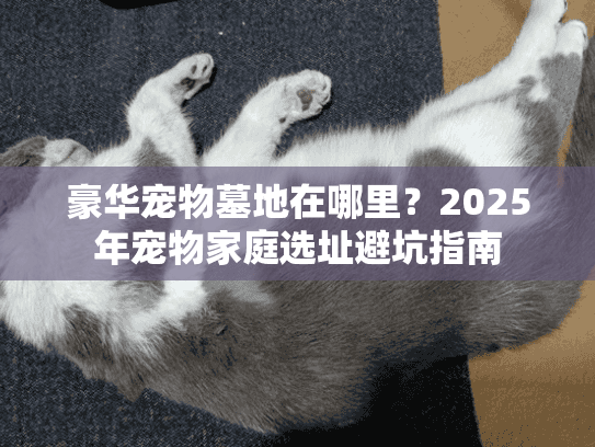 豪华宠物墓地在哪里?2025年宠物家庭选址避坑指南 豪华宠物墓地在哪里?2025年宠物家庭选址避坑指南