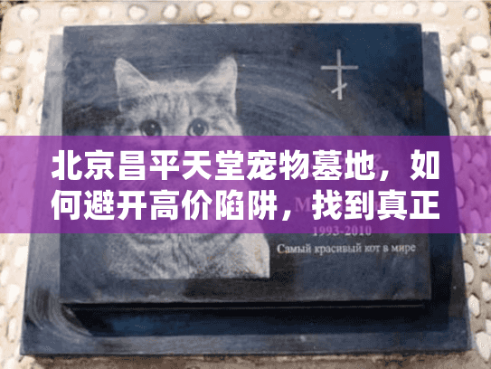 北京昌平天堂宠物墓地，如何避开高价陷阱，找到真正安心的归宿？