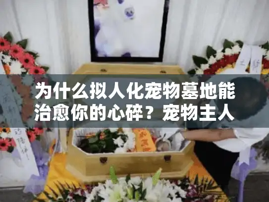为什么拟人化宠物墓地能治愈你的心碎？宠物主人告别伴侣的真实痛点解密