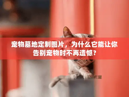 宠物墓地定制图片，为什么它能让你告别宠物时不再遗憾？