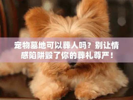 宠物墓地可以葬人吗？别让情感陷阱毁了你的葬礼尊严！