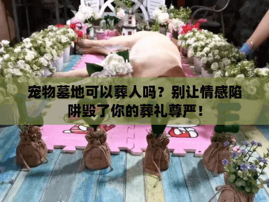宠物墓地可以葬人吗？别让情感陷阱毁了你的葬礼尊严！