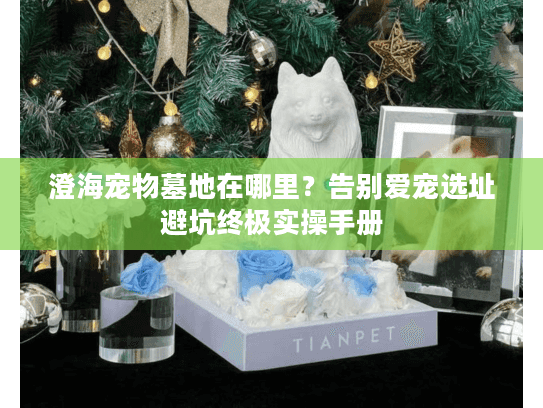 澄海宠物墓地在哪里？告别爱宠选址避坑终极实操手册