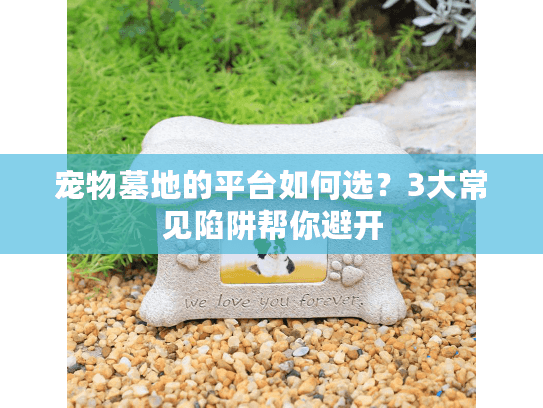 宠物墓地的平台如何选？3大常见陷阱帮你避开