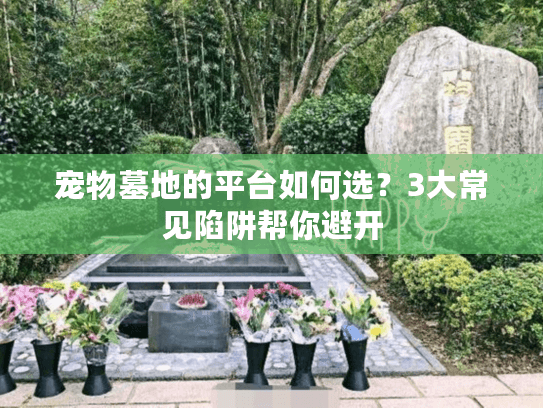 宠物墓地的平台如何选？3大常见陷阱帮你避开