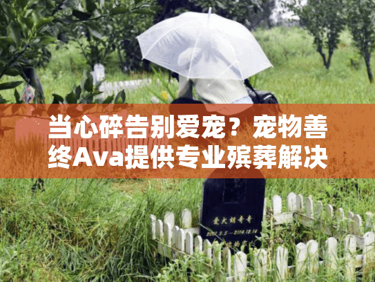 当心碎告别爱宠?宠物善终Ava提供专业殡葬解决方案 当心碎告别爱宠?宠物善终Ava提供专业殡葬解决方案