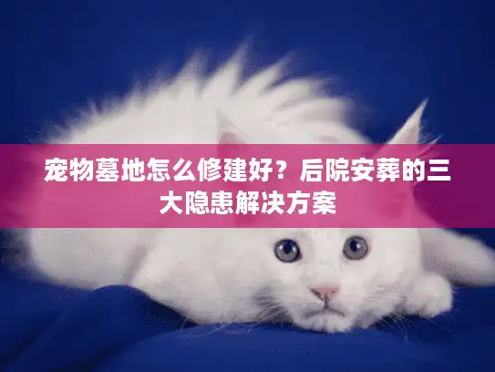 宠物墓地怎么修建好？后院安葬的三大隐患解决方案