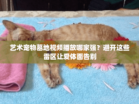 艺术宠物墓地视频播放哪家强?避开这些雷区让爱体面告别 艺术宠物墓地视频播放哪家强?避开这些雷区让爱体面告别