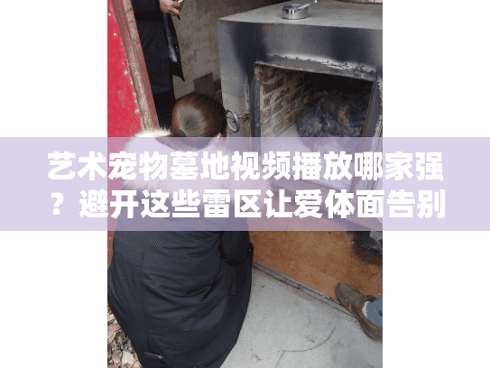 艺术宠物墓地视频播放哪家强?避开这些雷区让爱体面告别 艺术宠物墓地视频播放哪家强?避开这些雷区让爱体面告别