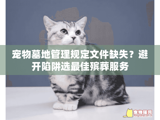 宠物墓地管理规定文件缺失？避开陷阱选最佳殡葬服务