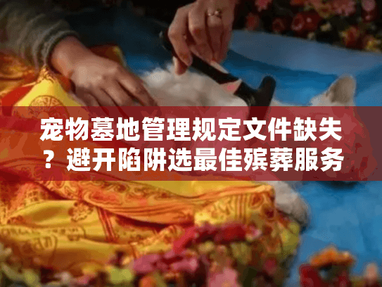 宠物墓地管理规定文件缺失？避开陷阱选最佳殡葬服务