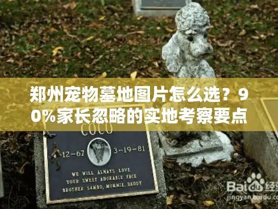 郑州宠物墓地图片怎么选?90%家长忽略的实地考察要点 郑州宠物墓地图片怎么选?90%家长忽略的实地考察要点