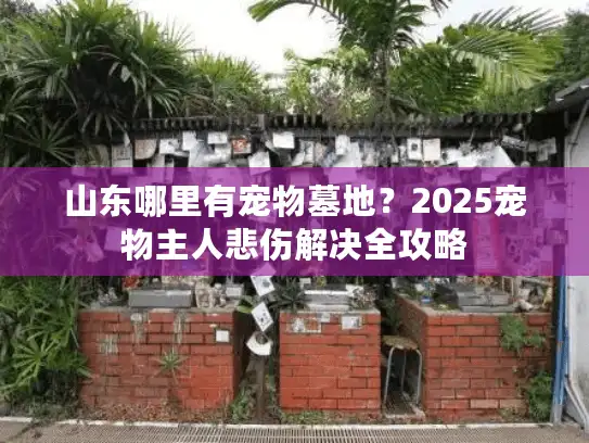 山东哪里有宠物墓地?2025宠物主人悲伤解决全攻略 山东哪里有宠物墓地?2025宠物主人悲伤解决全攻略