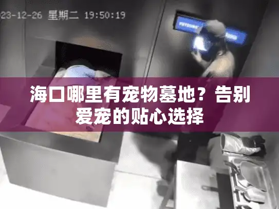 海口哪里有宠物墓地?告别爱宠的贴心选择 海口哪里有宠物墓地?告别爱宠的贴心选择