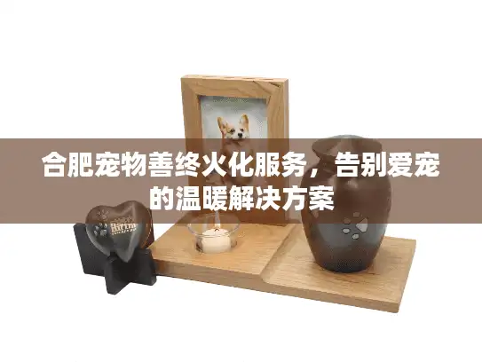 合肥宠物善终火化服务，告别爱宠的温暖解决方案