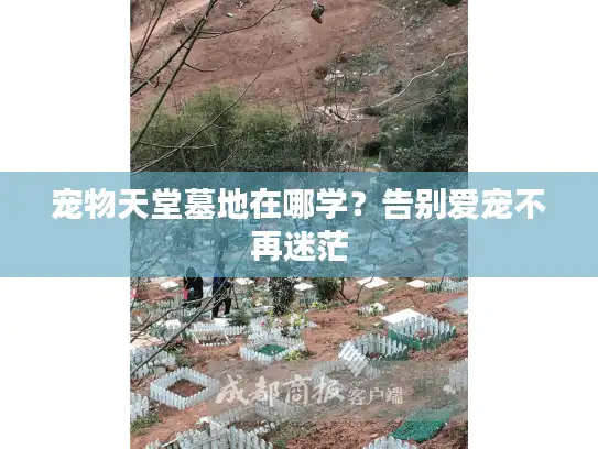 宠物天堂墓地在哪学？告别爱宠不再迷茫