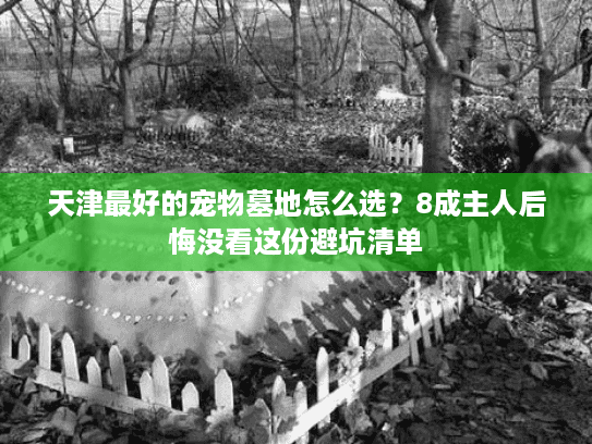 天津最好的宠物墓地怎么选？8成主人后悔没看这份避坑清单