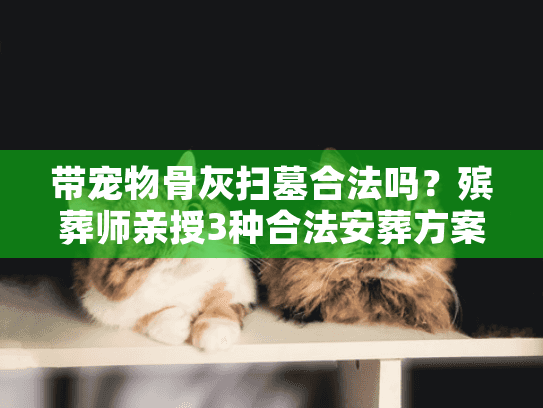 带宠物骨灰扫墓合法吗?殡葬师亲授3种合法安葬方案 带宠物骨灰扫墓合法吗?殡葬师亲授3种合法安葬方案