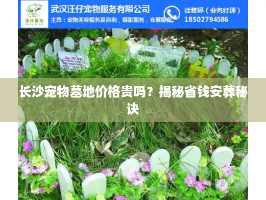 长沙宠物墓地价格贵吗？揭秘省钱安葬秘诀