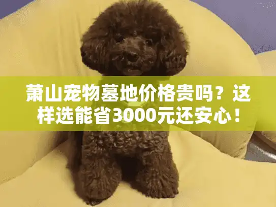萧山宠物墓地价格贵吗？这样选能省3000元还安心！