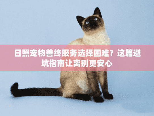 日照宠物善终服务选择困难？这篇避坑指南让离别更安心