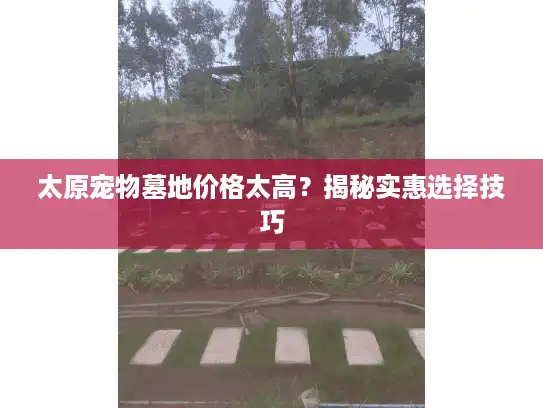 太原宠物墓地价格太高？揭秘实惠选择技巧