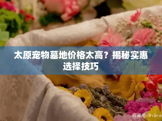 太原宠物墓地价格太高？揭秘实惠选择技巧