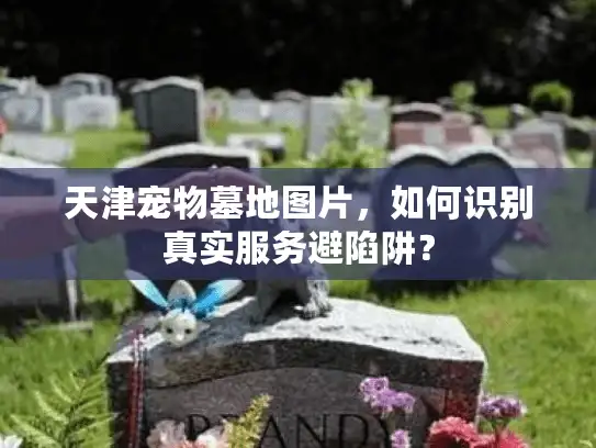 天津宠物墓地图片，如何识别真实服务避陷阱？