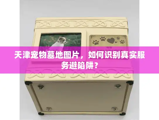 天津宠物墓地图片，如何识别真实服务避陷阱？