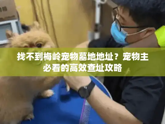 找不到梅岭宠物墓地地址?宠物主必看的高效查址攻略 找不到梅岭宠物墓地地址?宠物主必看的高效查址攻略