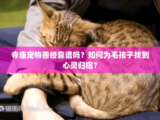 寺庙宠物善终靠谱吗？如何为毛孩子找到心灵归宿？