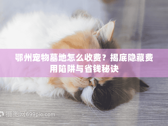 鄂州宠物墓地怎么收费？揭底隐藏费用陷阱与省钱秘诀