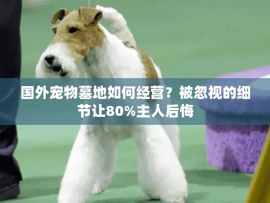 国外宠物墓地如何经营？被忽视的细节让80%主人后悔