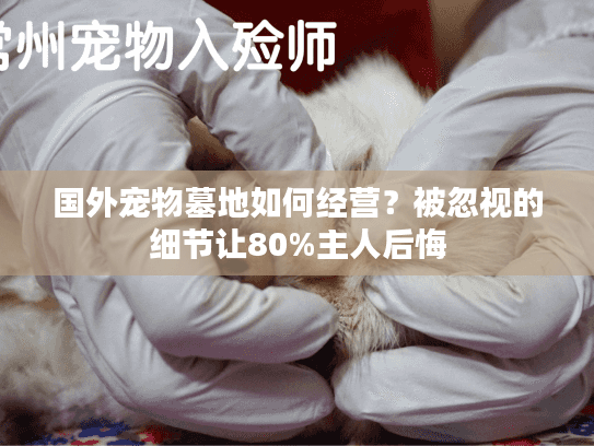 国外宠物墓地如何经营？被忽视的细节让80%主人后悔