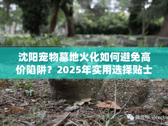 沈阳宠物墓地火化如何避免高价陷阱？2025年实用选择贴士