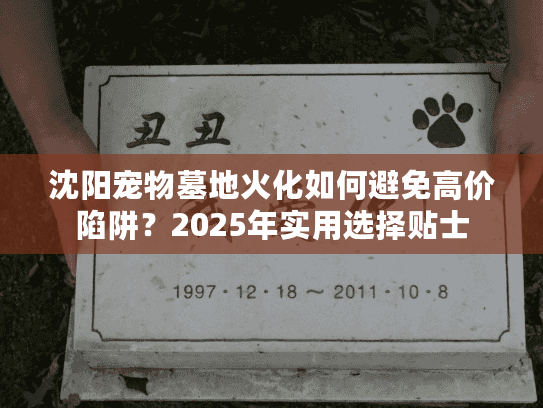 沈阳宠物墓地火化如何避免高价陷阱？2025年实用选择贴士