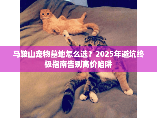 马鞍山宠物墓地怎么选？2025年避坑终极指南告别高价陷阱