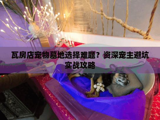 瓦房店宠物墓地选择难题?资深宠主避坑实战攻略 瓦房店宠物墓地选择难题?资深宠主避坑实战攻略