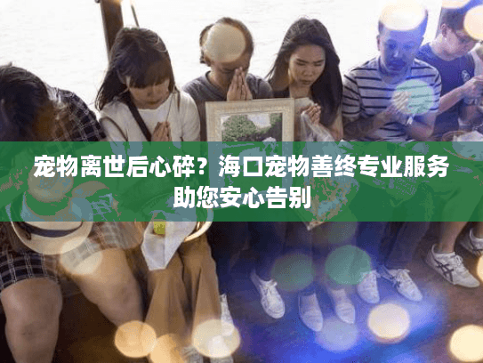 宠物离世后心碎？海口宠物善终专业服务助您安心告别