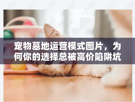 宠物墓地运营模式图片，为何你的选择总被高价陷阱坑？