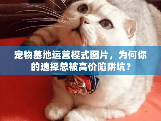 宠物墓地运营模式图片，为何你的选择总被高价陷阱坑？