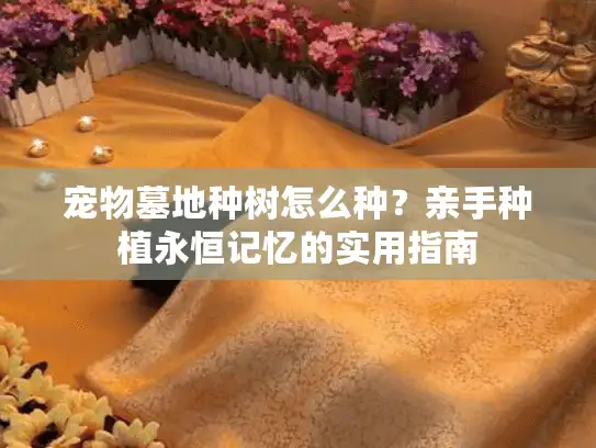 宠物墓地种树怎么种？亲手种植永恒记忆的实用指南