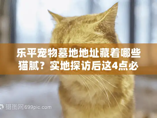 乐平宠物墓地地址藏着哪些猫腻？实地探访后这4点必须查清